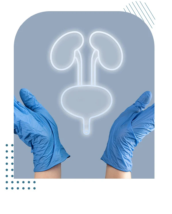 Advanced Solutions for Kidney and Bladder Health